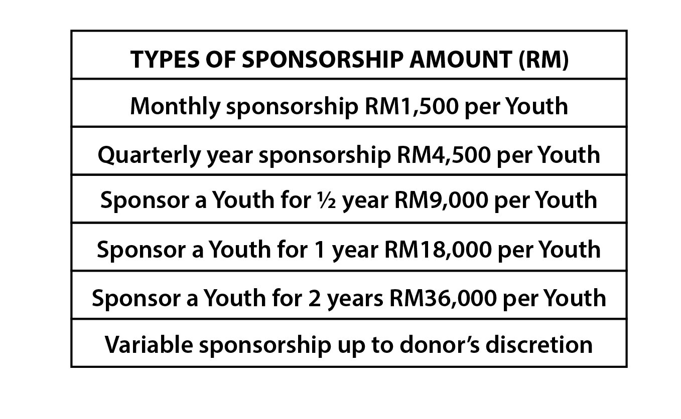 WEBSITE WORDPRESS SPONSORSHIP & FUNDING-01