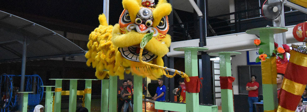 MYTC CHINESE NEW YEAR CELEBRATION